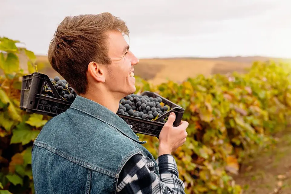 A man holding grapes in his hand and smiling.