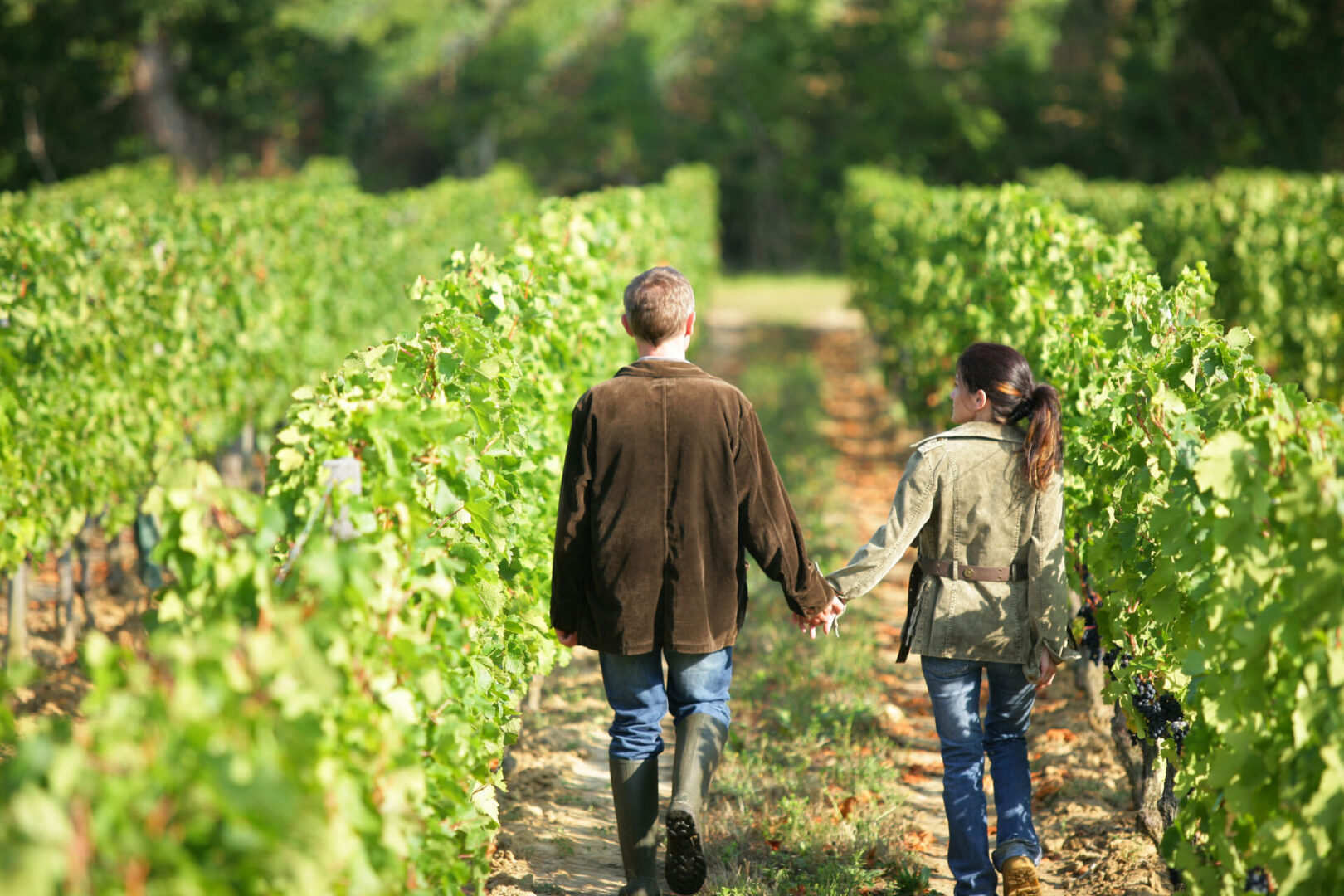 Prestigious Wine Tours